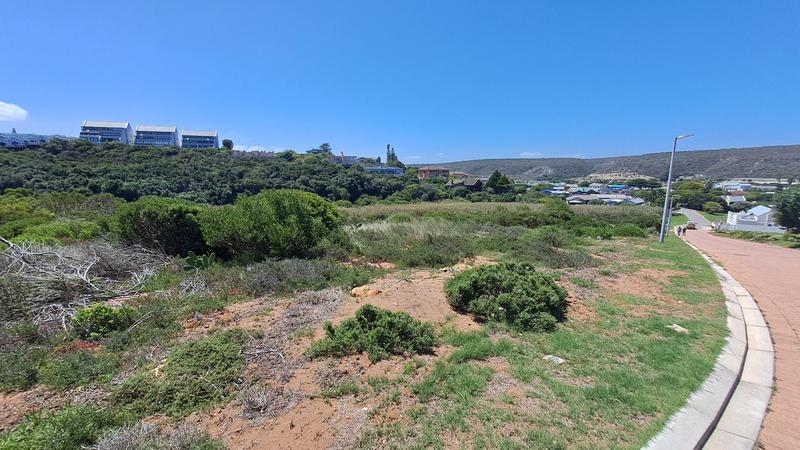 0 Bedroom Property for Sale in Stilbaai Wes Western Cape